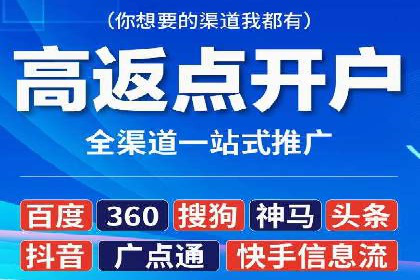 案例研究：百度竞价广告投放效果